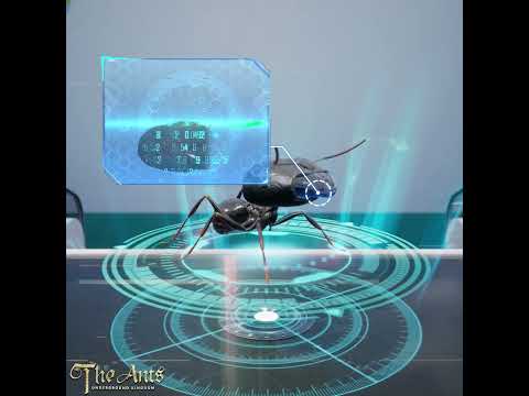 The ants underground kingdom